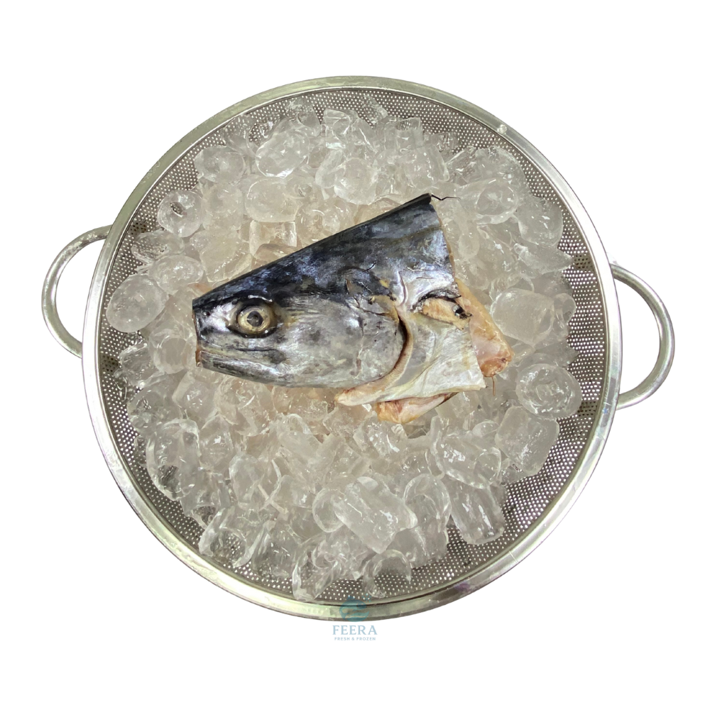 ikan tenggiri