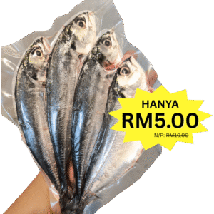 ikan cencaru