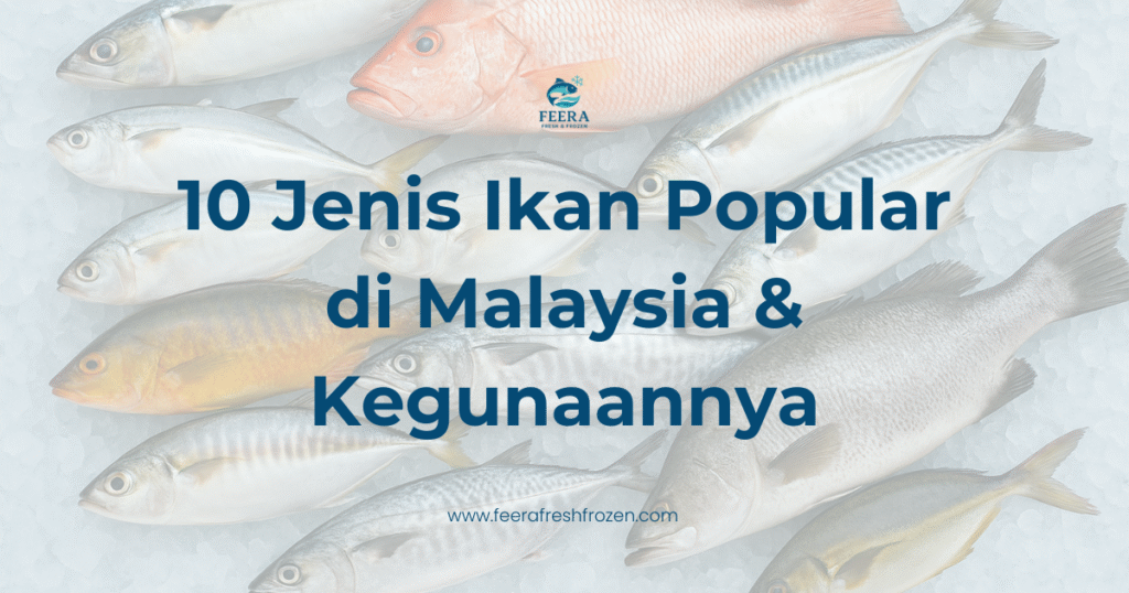 10 Jenis Ikan Popular di Malaysia & Kegunaannya