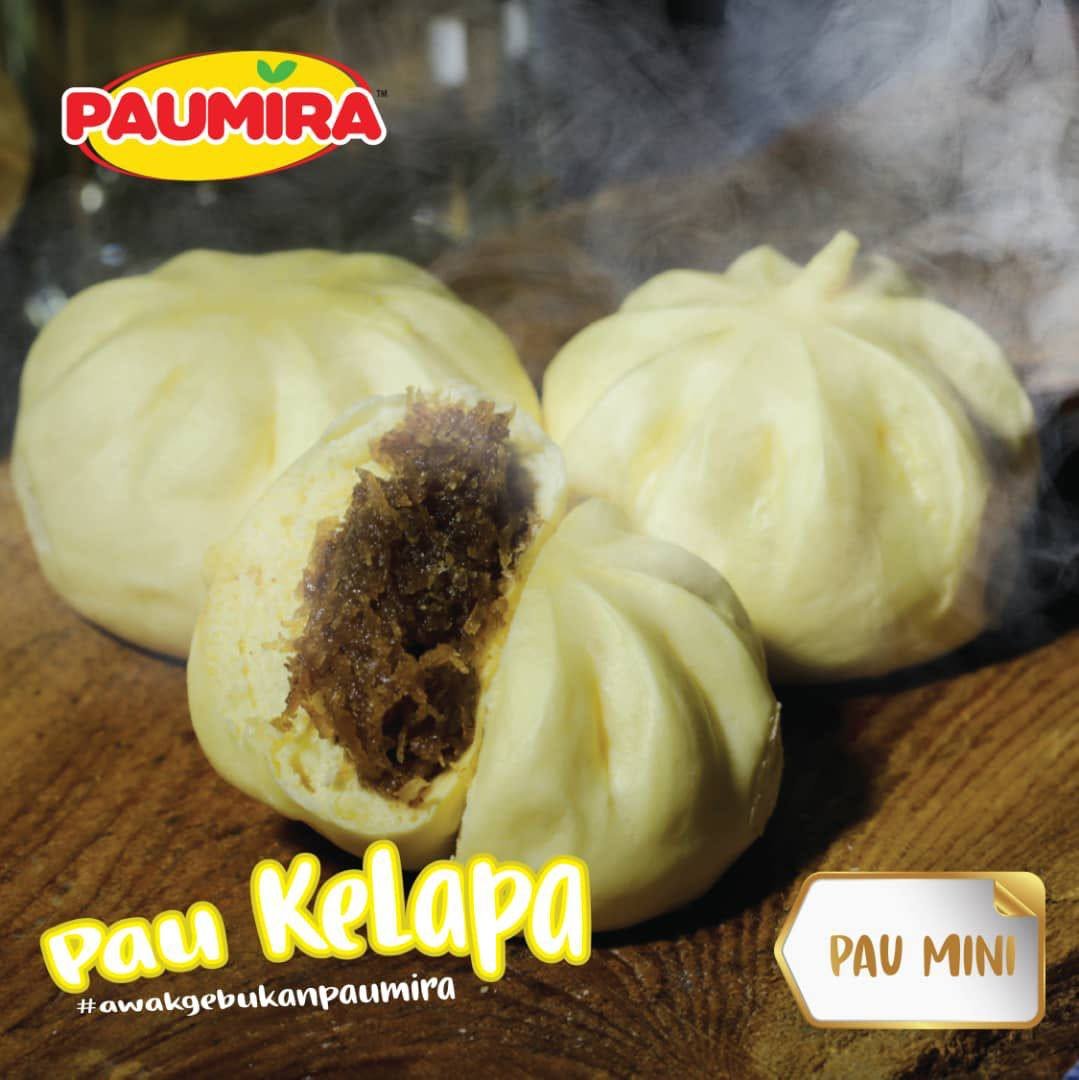 pau kelapa mini